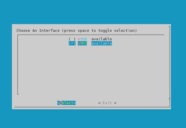 Selecting the eth1 interface