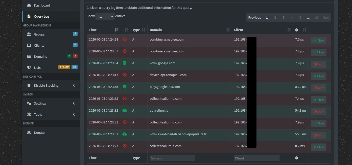 Pi-hole Query Log