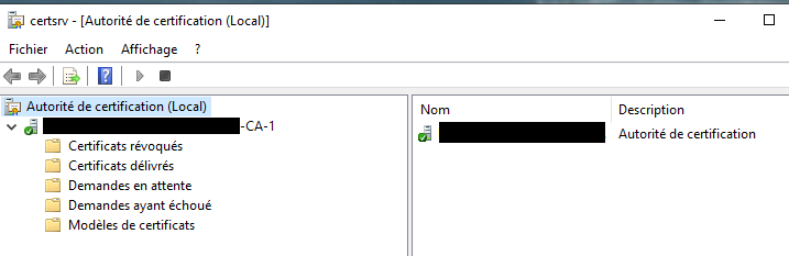 Internal AD CS Certificate Authority Console