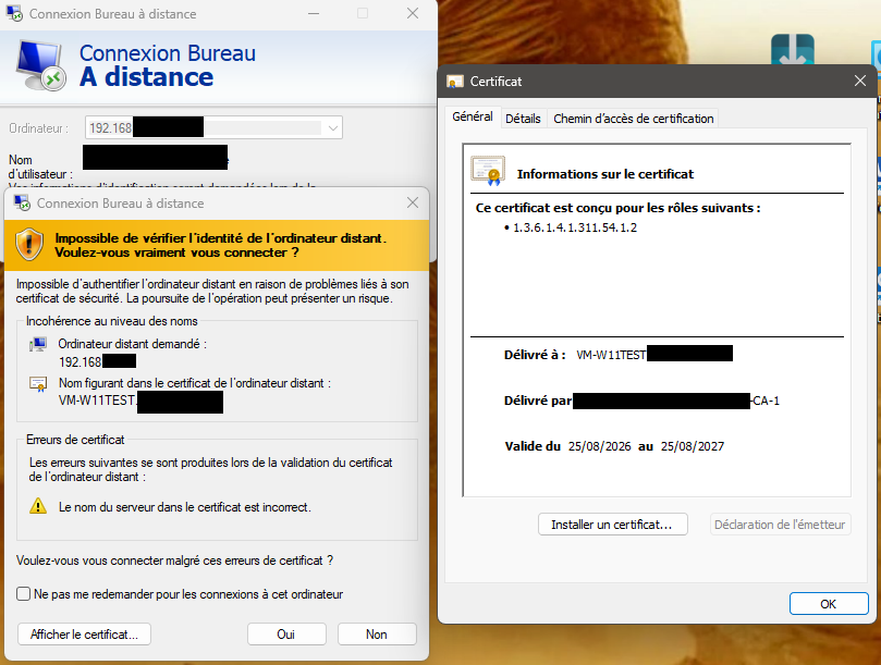 Workstation pilot test by IP address — certificate presented with the EKU Remote Desktop Authentication